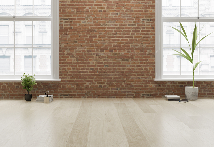 ALT general imagen 5 PLANTSEO